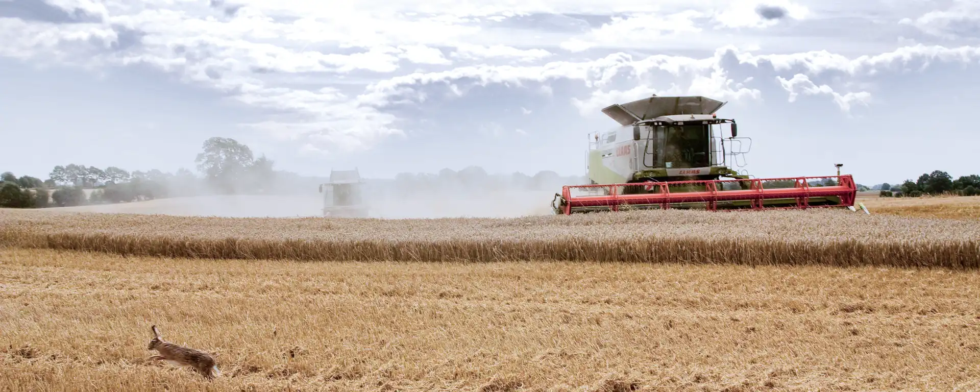 Ein Mähdrescher im Feld